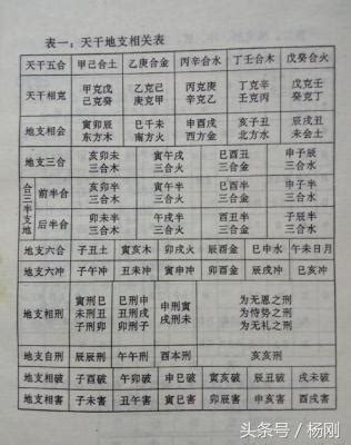 爐中火命兔|八字納音五行：爐中火命詳解